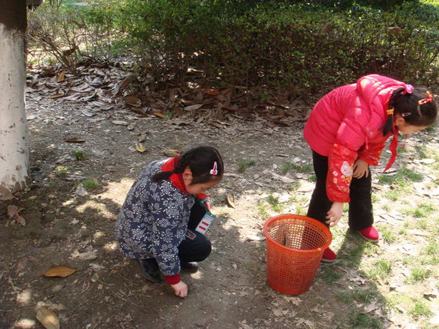 实验小学"低碳生活我作主"活动