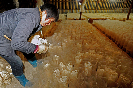 逍遥皇帝打江山_江山农村平均收入