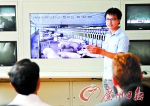 广州现代生猪养殖示范区内,工作人员正在讲解猪场情况。 广州现代生猪养殖示范区内,工作人员正在讲解猪场情况。