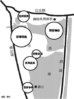 杭州曲院风荷景区地图图片